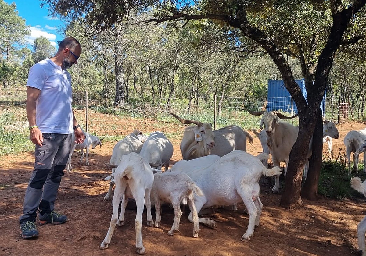 Personal de CONSULE con ganado caprino