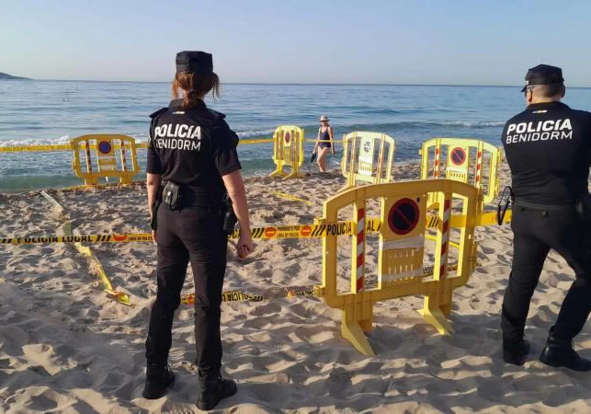 Imagen de la Policía Local de Benidorm en la zona balizada en la playa de Poniente