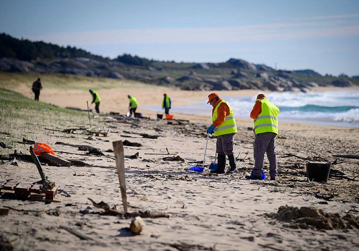 Recogida de pélets en la playa do Vilar, en Ribeira (La Coruña), el pasado mes de enero