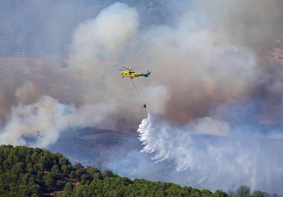 Incendio en el campo de tiro de Cerro Muriano del pasado mes de julio
