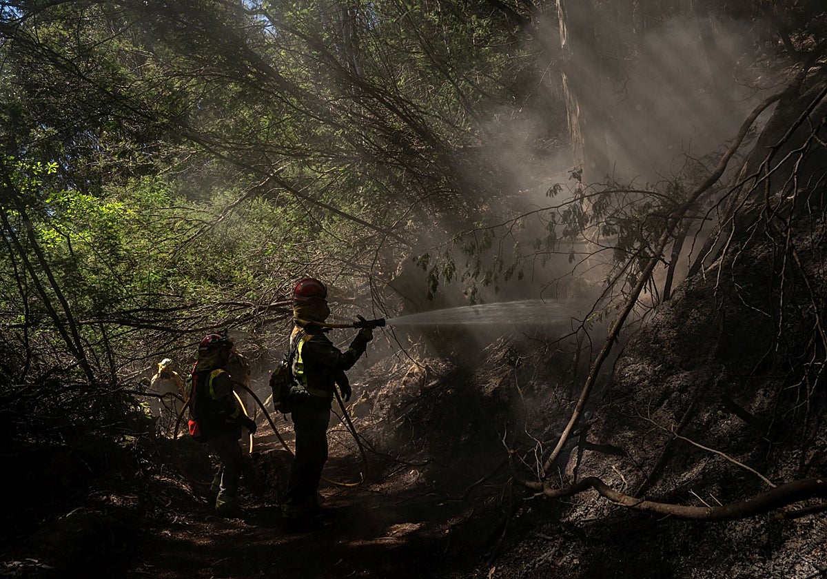 El incendio que calcinó 50 hectáreas en Crecentes (Pontevedra) el pasado mes de abril