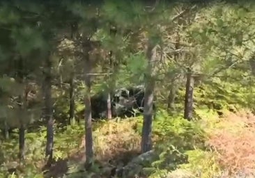 Heridos un hombre y su hija menor de edad tras despeñarse 30 metros a bordo de un quad en Ávila