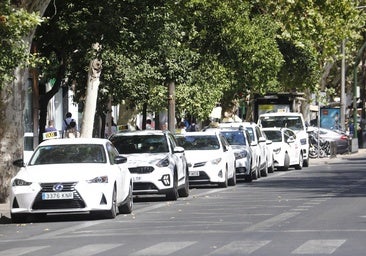 Fotos: Taxistas en Córdoba encaran el mes de agosto