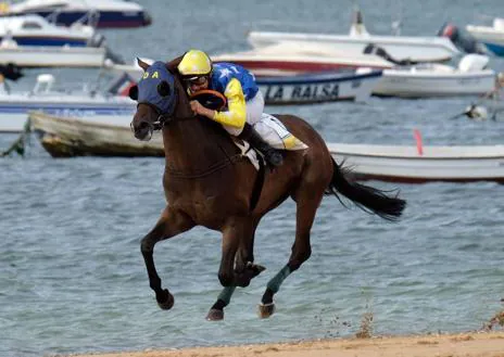 Imagen secundaria 1 - Algunas imágenes de las Carreras de Caballos de Sanlúcar de Barrameda