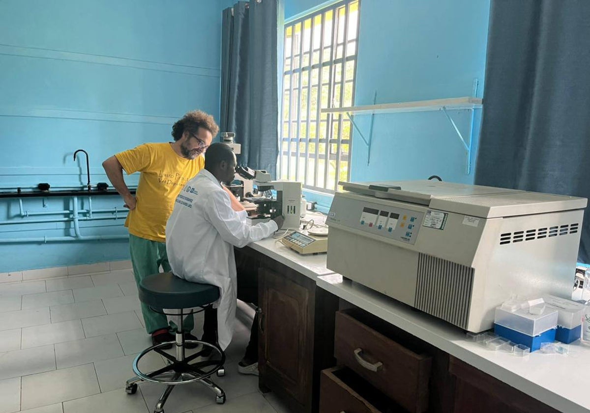 El director veterinario del Centro de Investigación en Ciencias Naturales de Lwiro (RDC), Luis Flores, donde se estudian las evoluciones de las enfermedades de transmisión entre humanos y primates