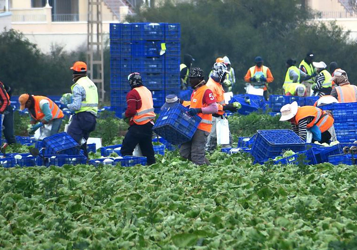 Imagen de archivo de jornaleros inmigrantes en una explotación agrícola