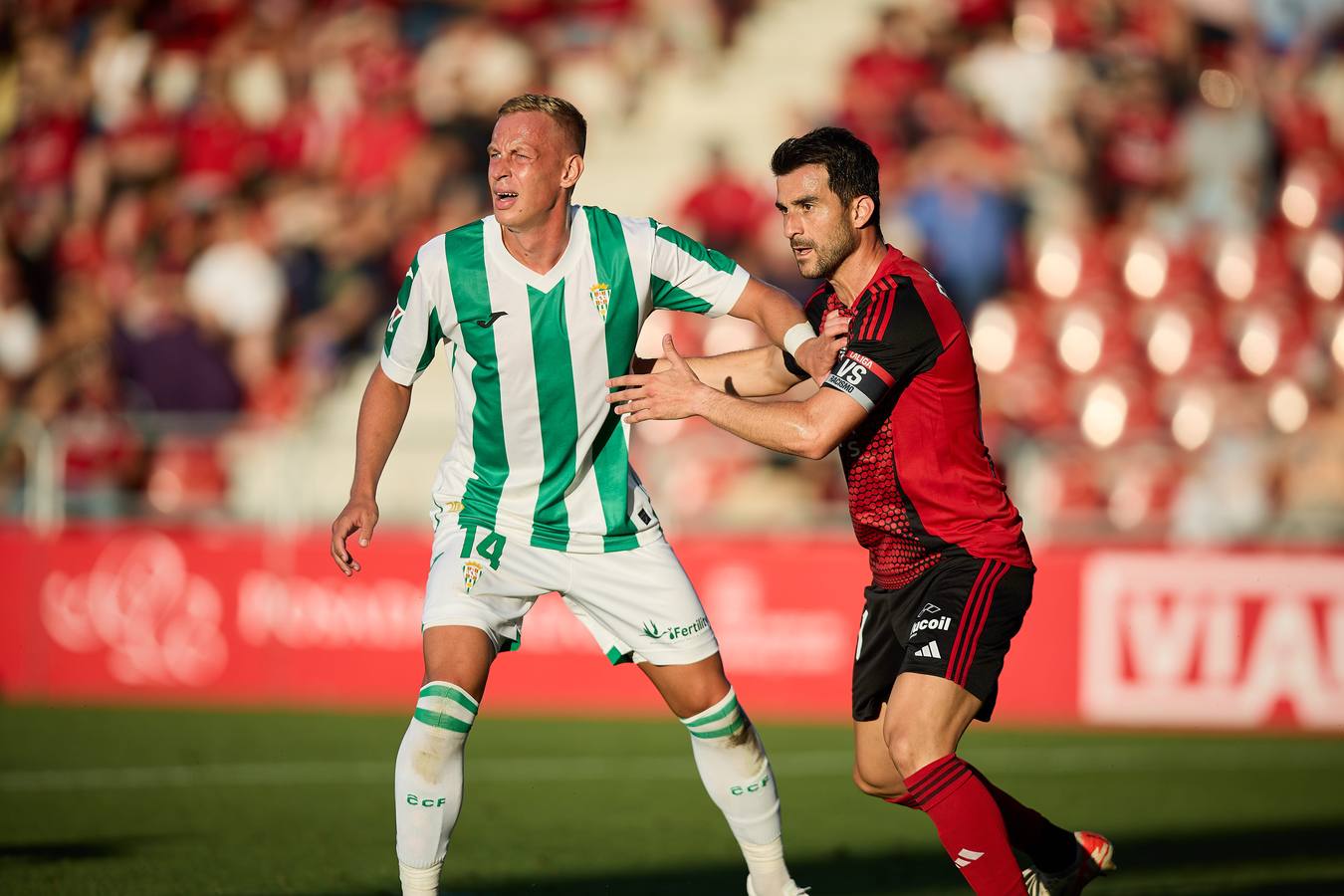 Fotos: el partido del Córdoba ante el Mirandés
