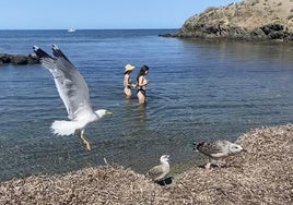 El tesoro oculto que pocos conocen de Tabarca, la isla habitada más pequeña de España