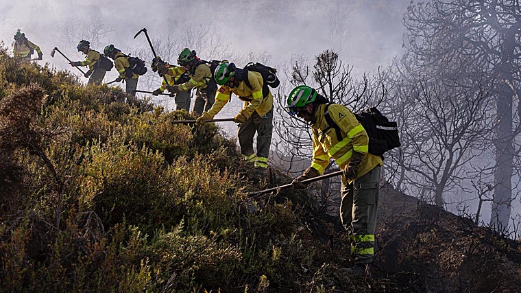 La brigada haciendo una línea de defensa para parar el avance de la tierra quemada