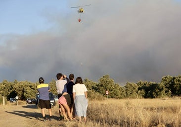 El mayor incendio en lo que va de verano en Castilla y León arrasa casi 300 hectáreas en Zamora