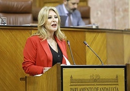 Carolina España: «Ya nos movilizamos en el año 1977 y lo volveremos a hacer si hace falta»