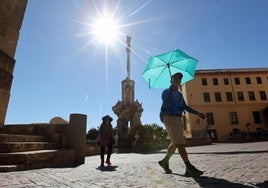 Andalucía dentro de medio siglo: un 14% menos de lluvias y 24 días de calor abrasador más al año