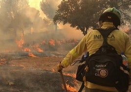 Juanma Moreno anuncia la estabilización del incendio y la vuelta a casa de las personas desalojadas