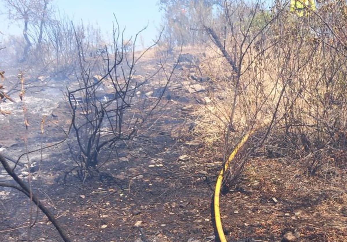 Zona calcinada en el incendio declarado en la localidad de Montoro