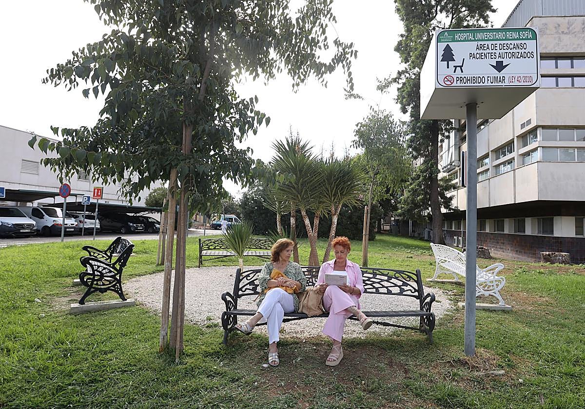 Zona de descanso con arboleda en el hospital Reina Sofía