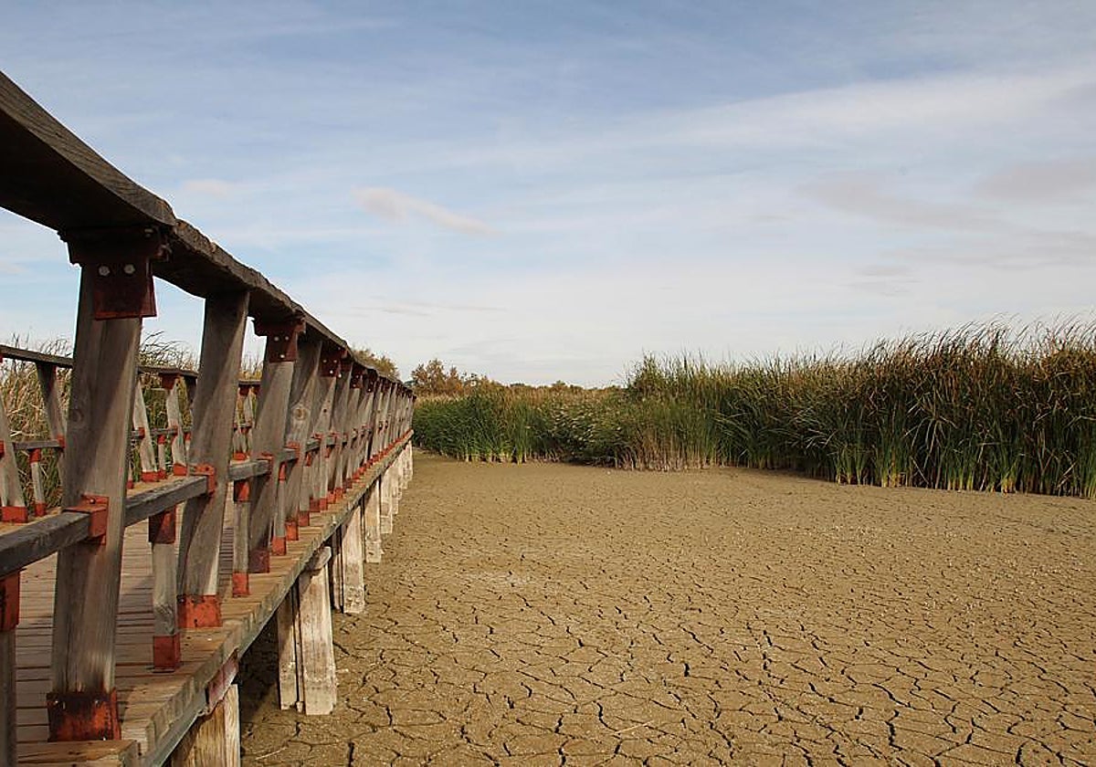 Imagen de archivo de las Tablas de Daimiel tras un periodo de sequía prolongado