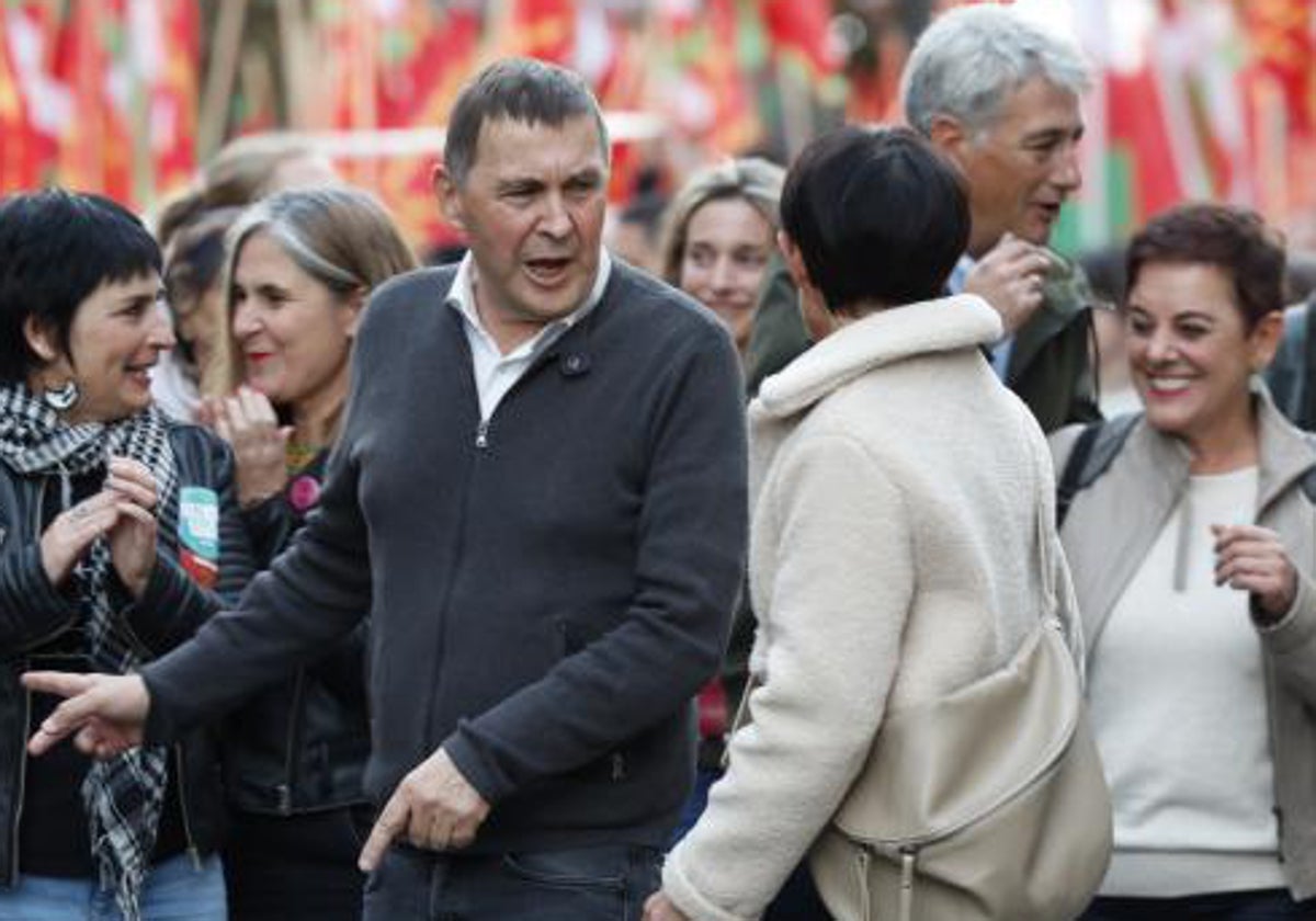 El coordinador general de EH Bildu, Arnaldo Otegi, durante una manifestación