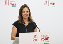 El PSOE reclama a la Junta de Andalucía «un compromiso firme y más presupuesto» contra la violencia de género