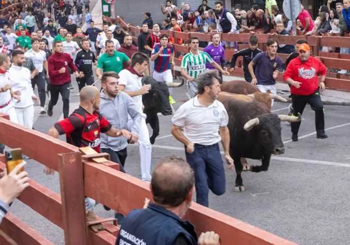 Muere un hombre por una herida por asta de toro en un encierro en la pedanía de Mesones, en El Casar