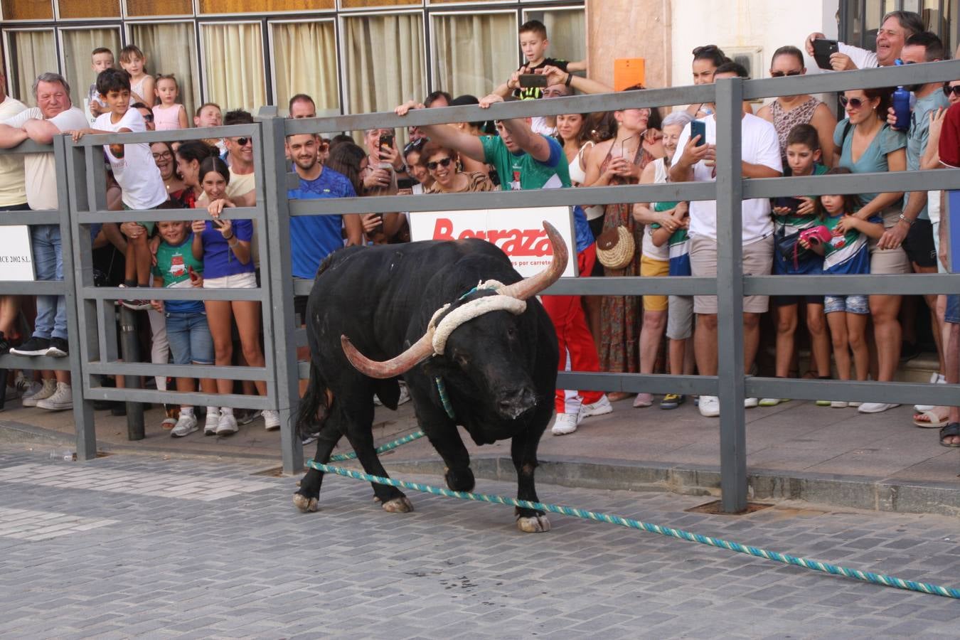 Fotos: la fiesta del Toro de Cuerda de Carcabuey