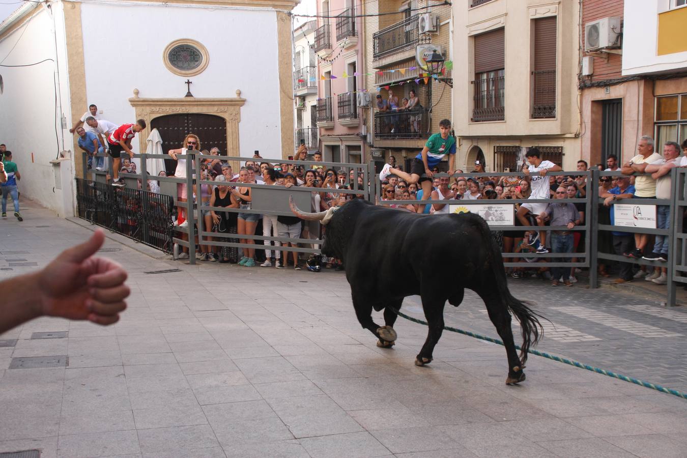 Fotos: la fiesta del Toro de Cuerda de Carcabuey