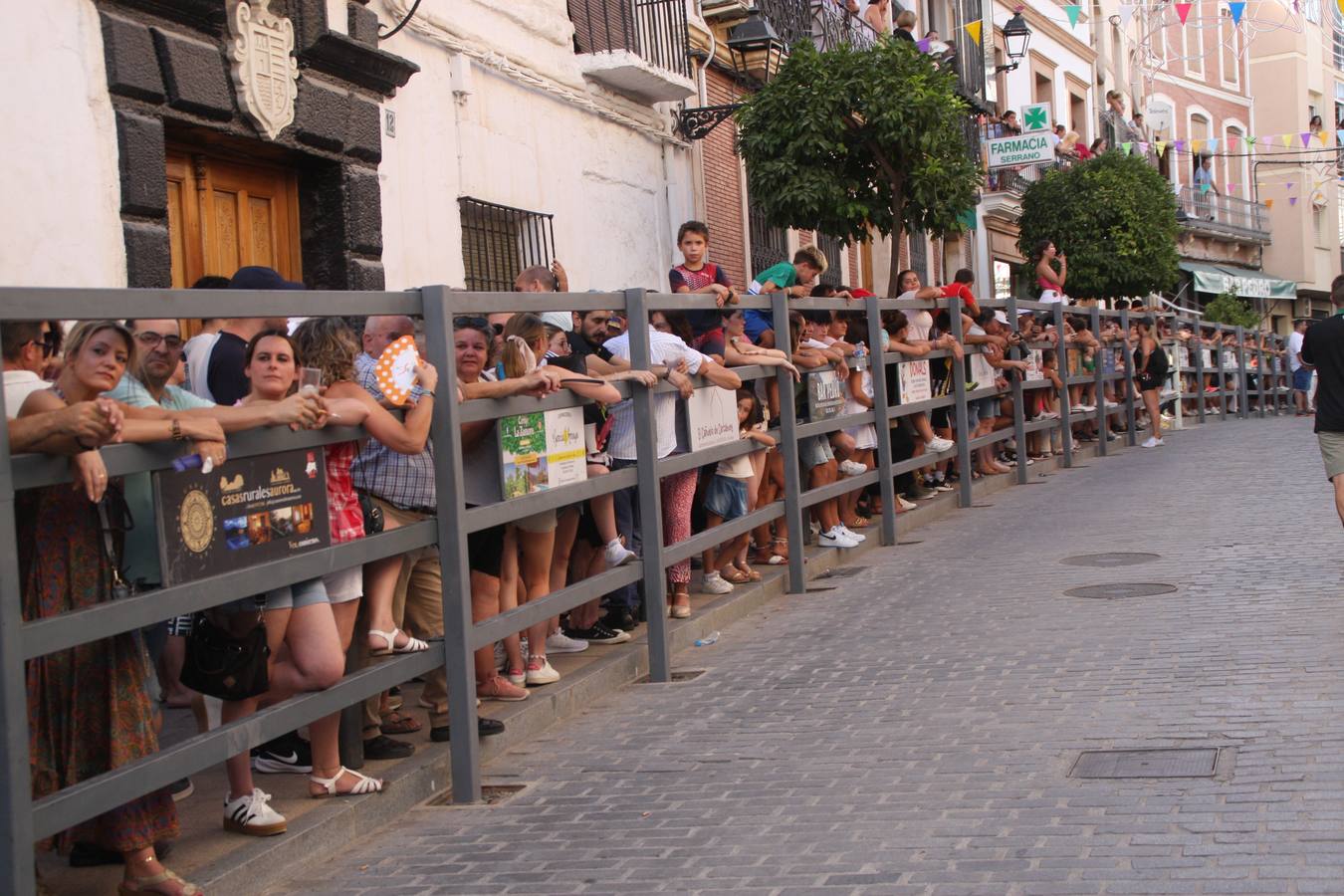 Fotos: la fiesta del Toro de Cuerda de Carcabuey