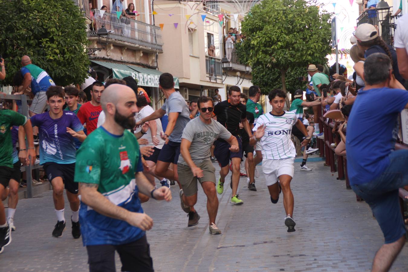 Fotos: la fiesta del Toro de Cuerda de Carcabuey