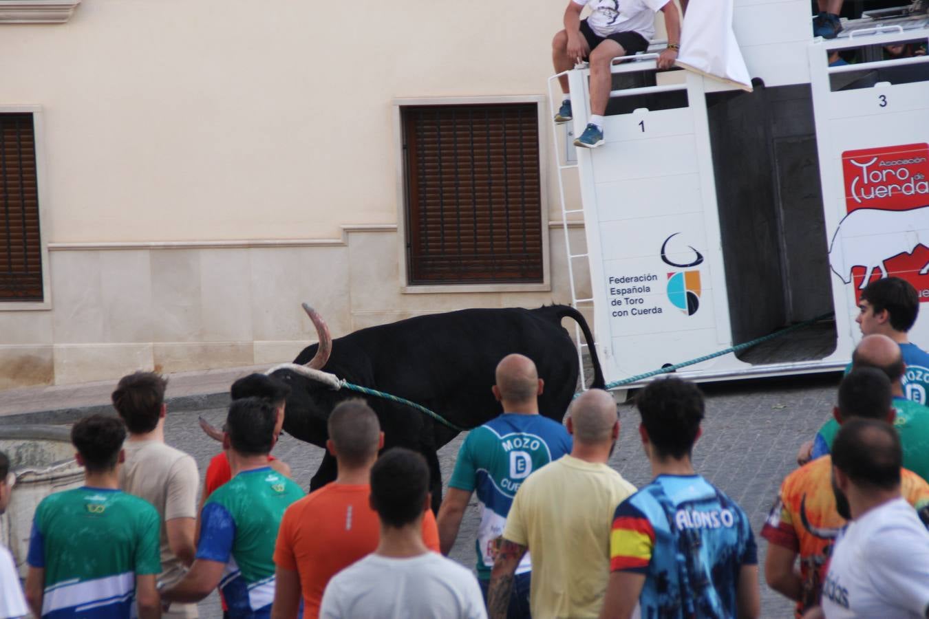 Fotos: la fiesta del Toro de Cuerda de Carcabuey