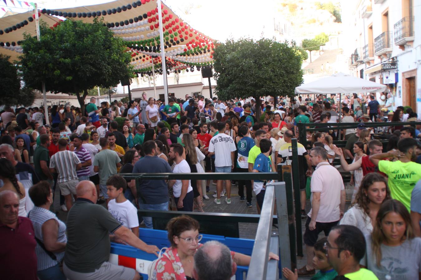 Fotos: la fiesta del Toro de Cuerda de Carcabuey