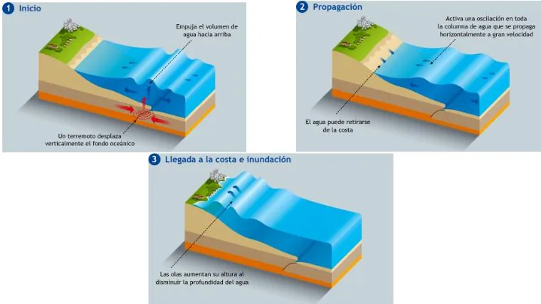 Proceso de creación de un tsunami de origen sísmico