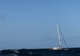 Un velero pide ayuda tras toparse con unas orcas cerca de la costa gallega