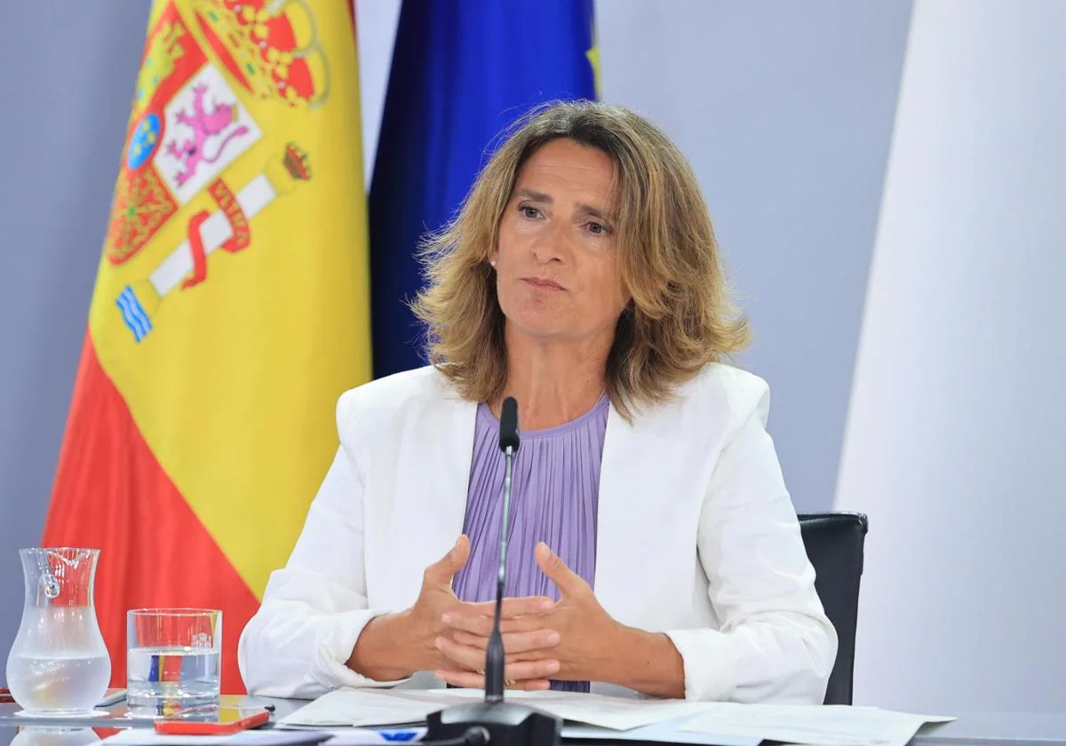 Teresa Ribera, tras el Consejo de Ministros de este martes