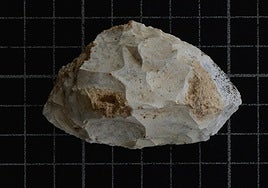 Descubren la presencia de neandertales en Valencia hace más de 100.000 años