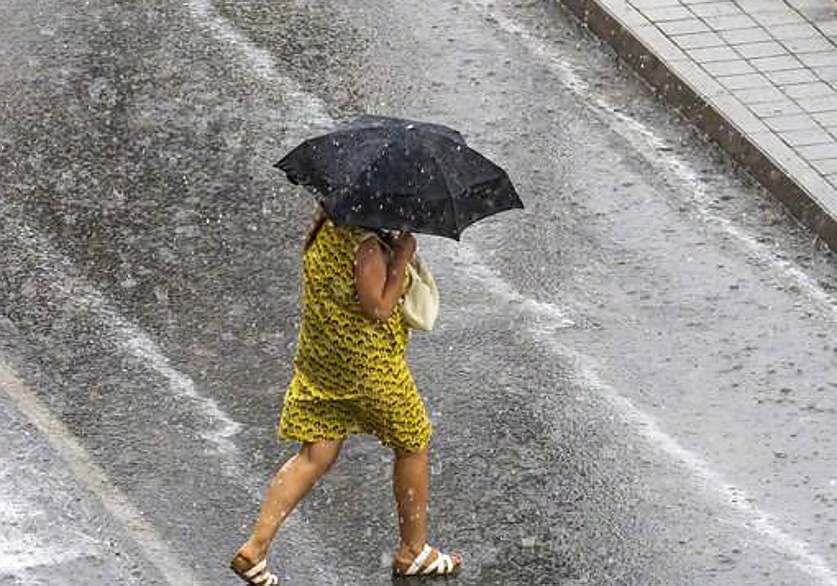 Una impresionante tormenta derriba árboles y deja varias calles anegadas en Burgos