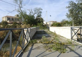 Medina de Rioseco estudia solicitar la declaración como zona catastrófica por los daños causados por la tormenta
