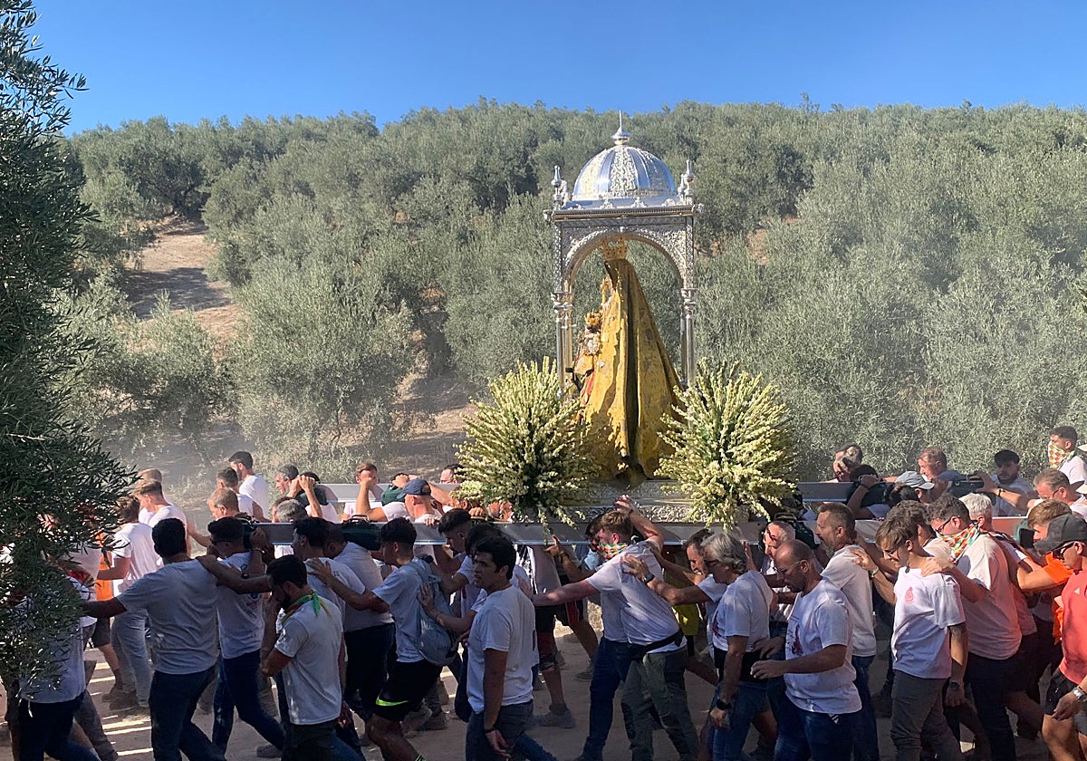 Costaleros y fieles de la Virgen de la Sierra atraviesan el camino de la romería entre olivos