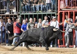 Un menor hospitalizado en la UCI tras una grave cogida en un festejo taurino en Villarreal