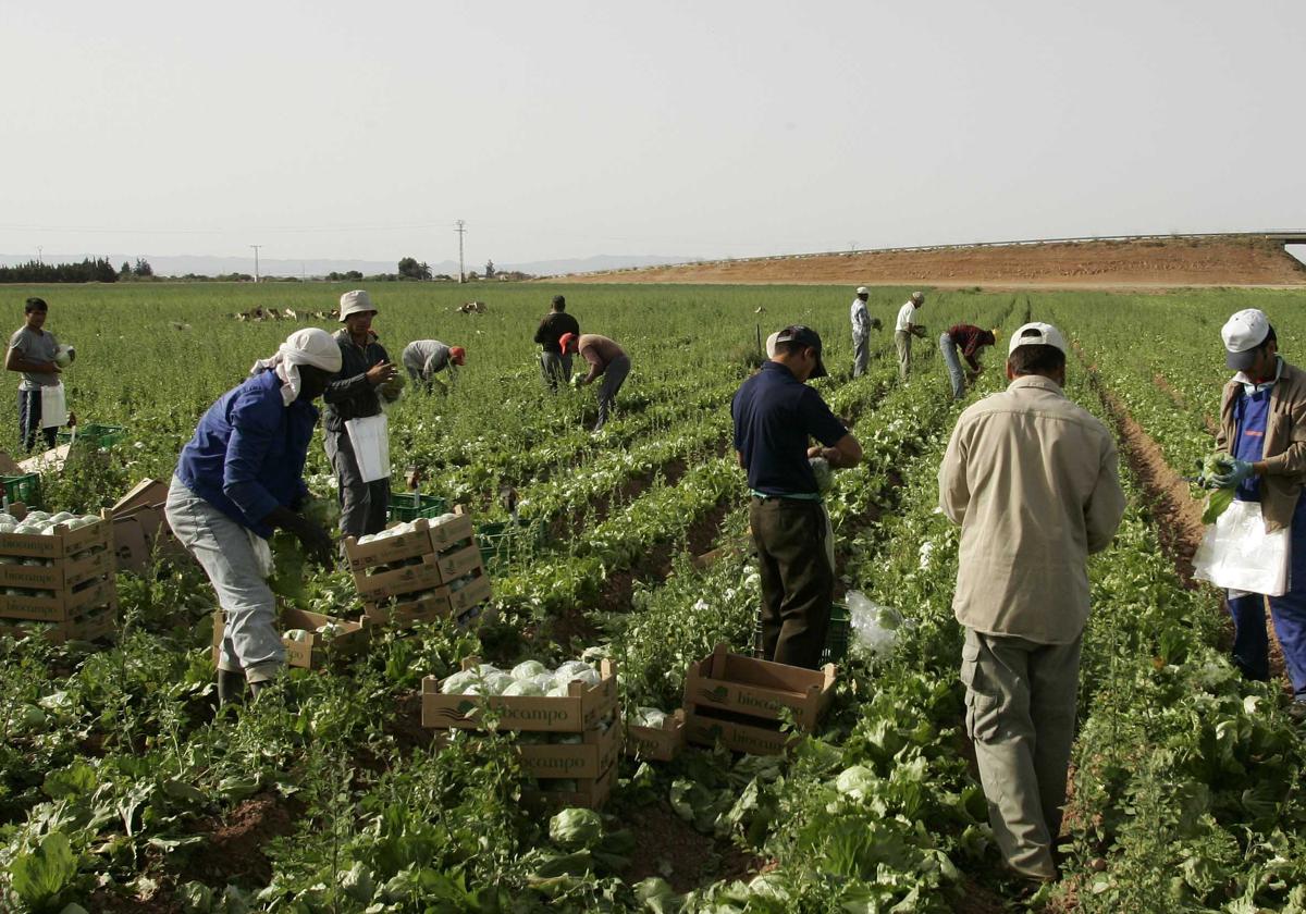 Trabajadores inmigrantes durante una cosecha, en una imagen de archivo