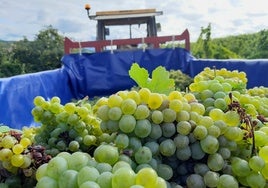 Las uvas de la ira