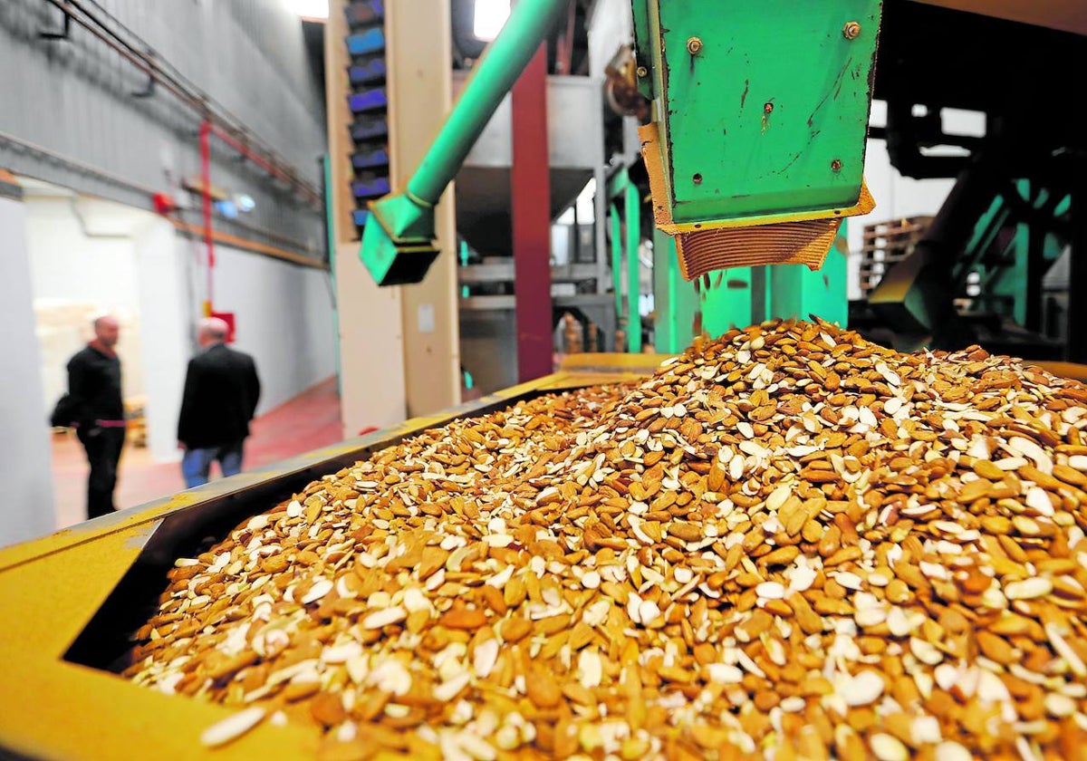 Almendras en una fabrica de producción cordobesa