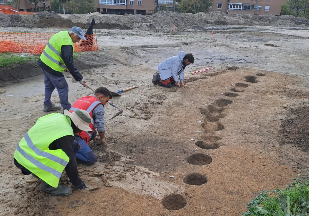 Las obras de recuperación de los restos de una cabaña alargada prerromana