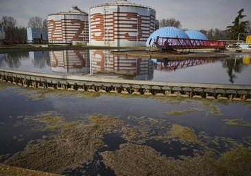 Madrid analizará las aguas residuales en busca de droga y hará campañas en tiktok contra el cannabis