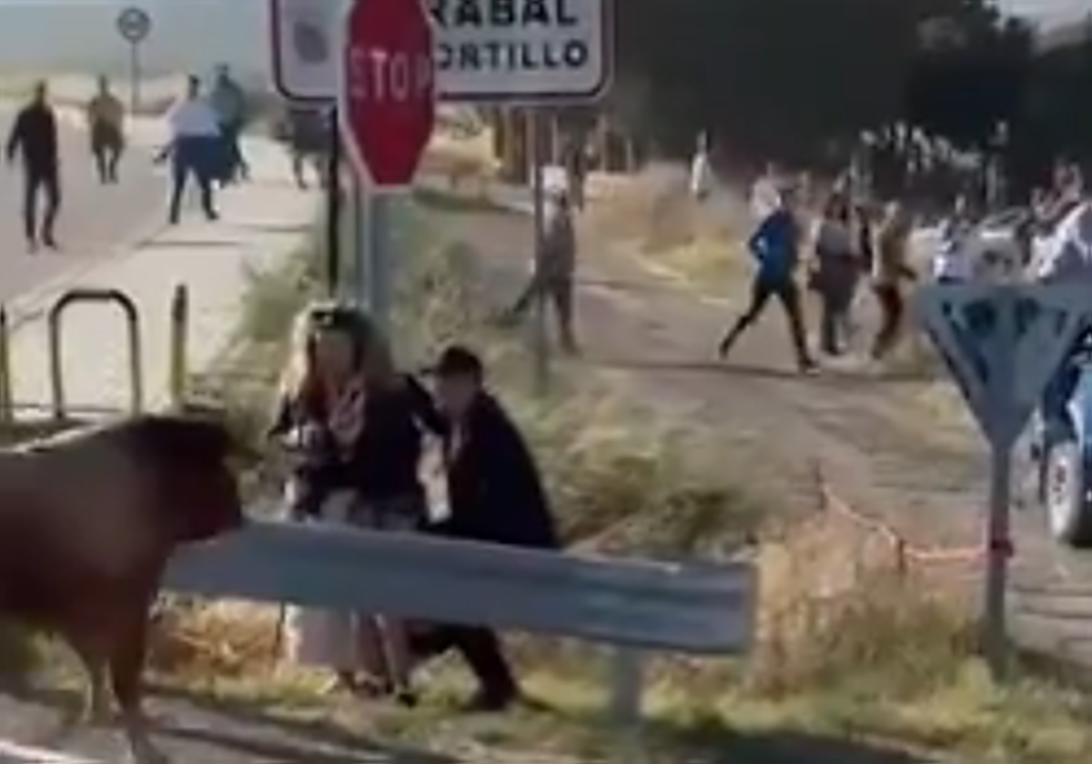 Un toro se sale del encierro y fija su atención en un niño