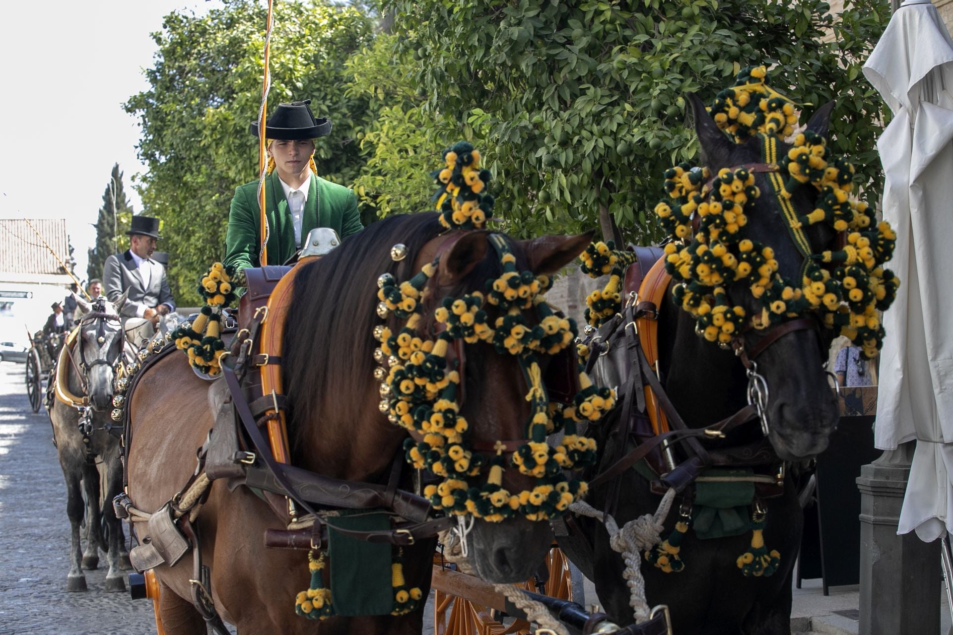 Fotos: el concurso de atalajes de tradición en Córdoba