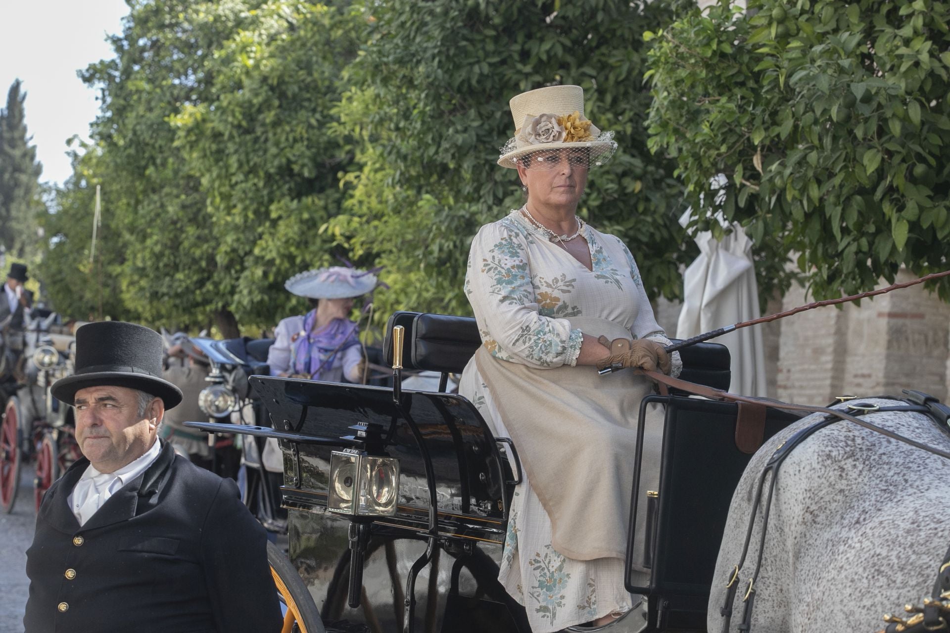 Fotos: el concurso de atalajes de tradición en Córdoba