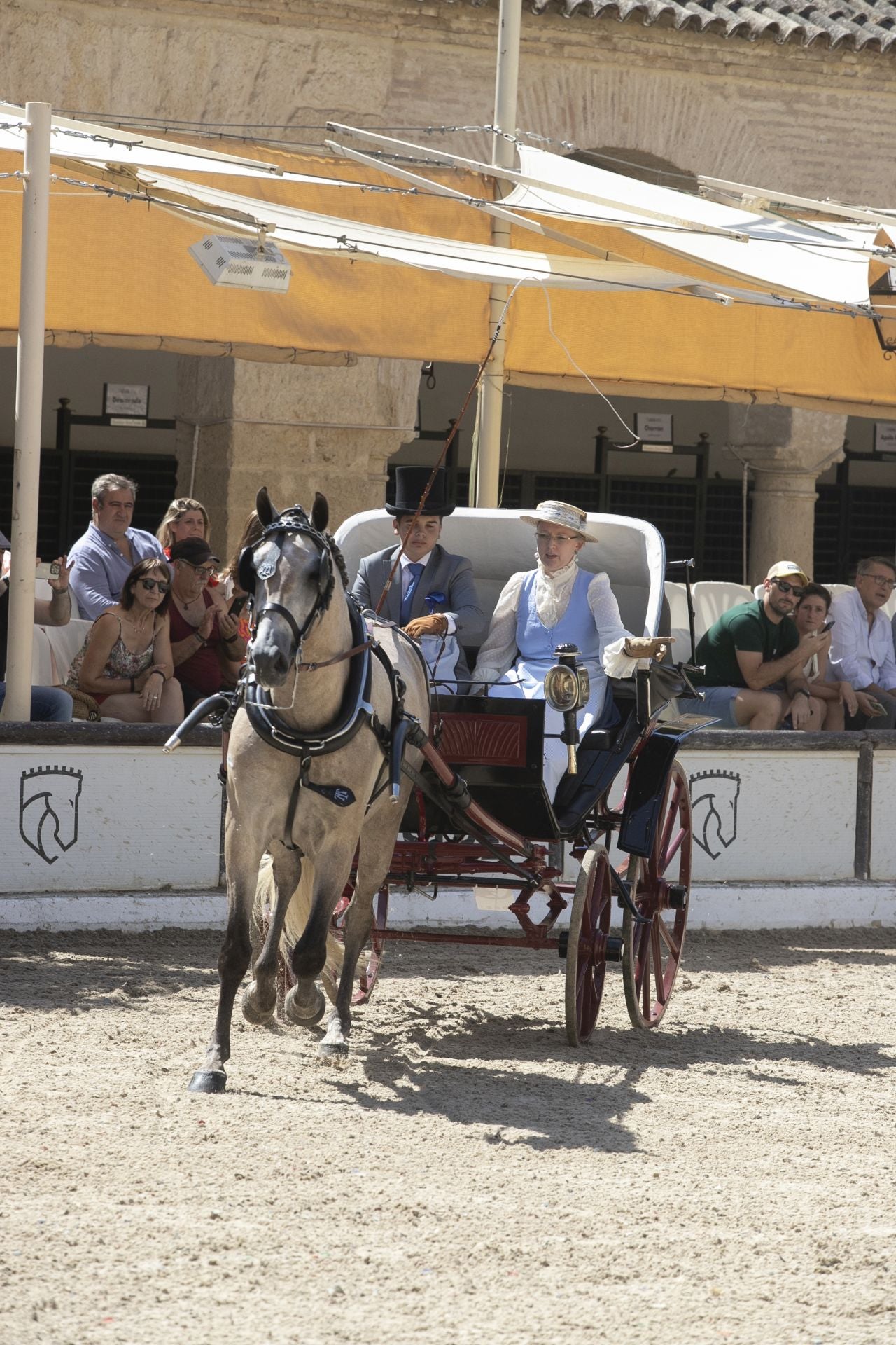 Fotos: el concurso de atalajes de tradición en Córdoba