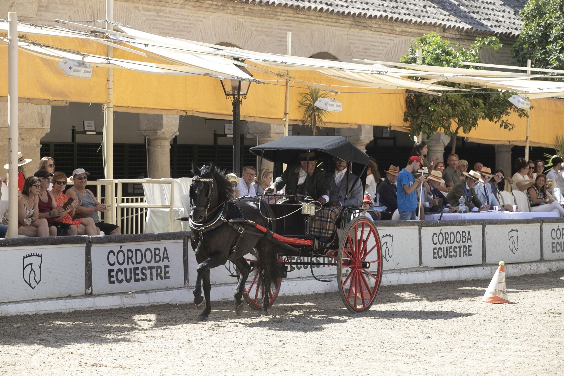 Fotos: el concurso de atalajes de tradición en Córdoba