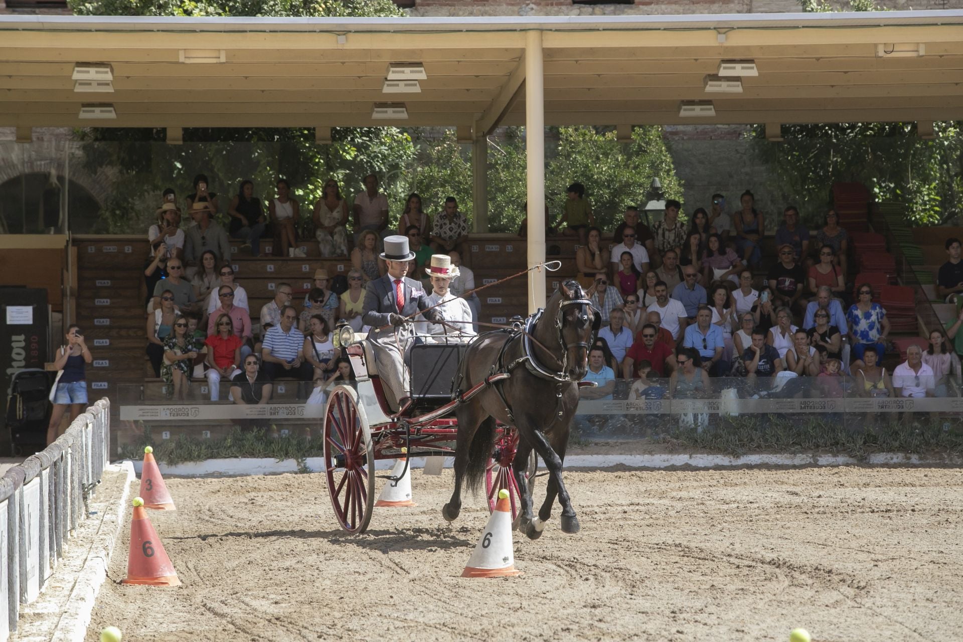 Fotos: el concurso de atalajes de tradición en Córdoba