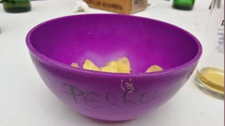 «No volveremos»: un bar sirve las patatas en el cuenco donde beben los perros