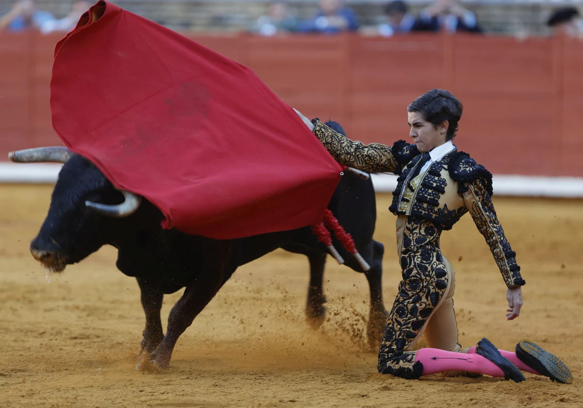 Manuel Román, en la pasada Feria Taurina de Córdoba